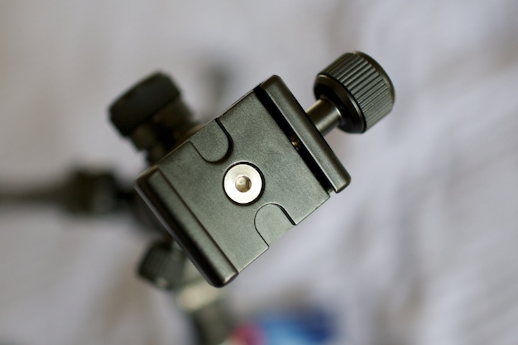 IMAGE: http://photos.russjuskalian.com/2009/07/25/20.jpg