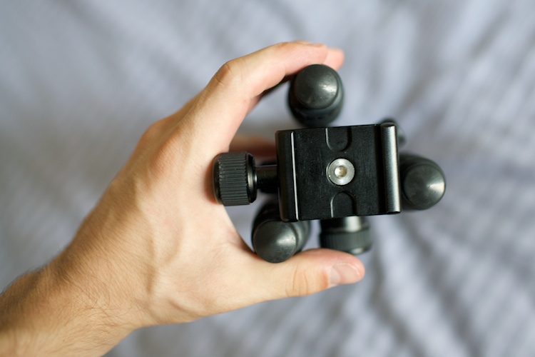 IMAGE: http://photos.russjuskalian.com/2009/07/25/7.jpg